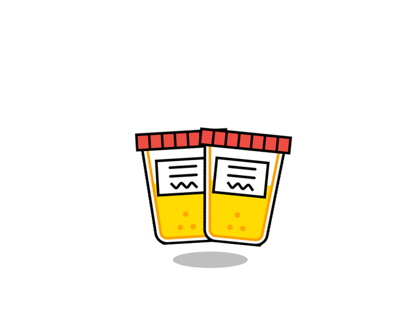 The Basic Screen