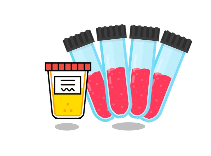 The Platinum Package - 13 STD Test Bundle