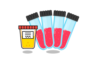 The Platinum Package - 13 STD Test Bundle