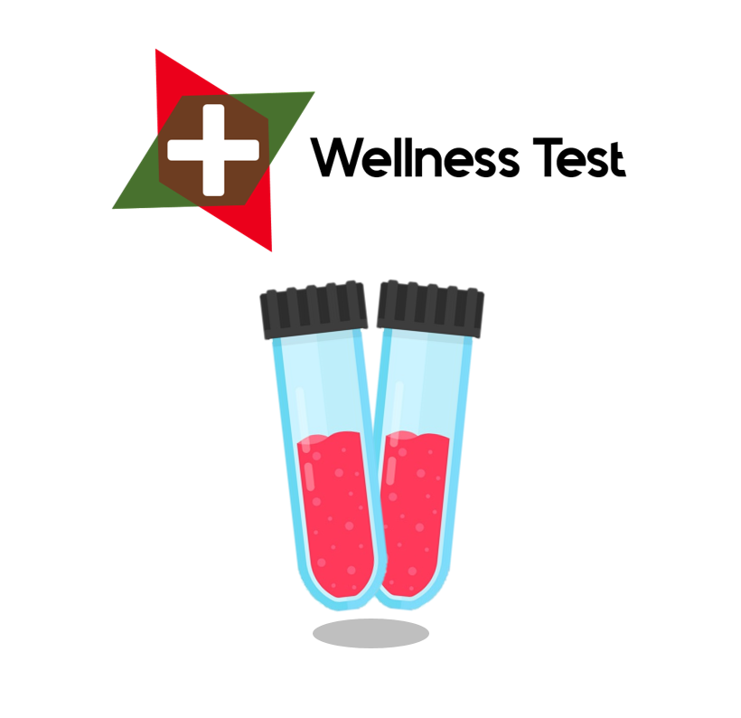 Basic Wellness Check – Get Tested South Africa